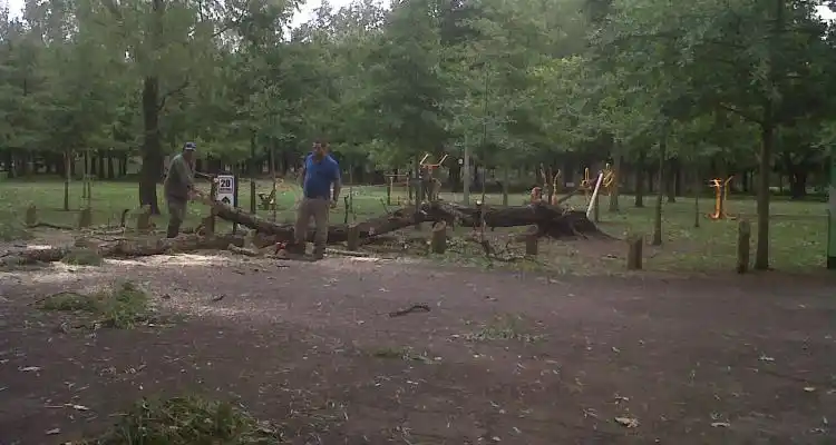 El paro complicó la limpieza tras la tormenta