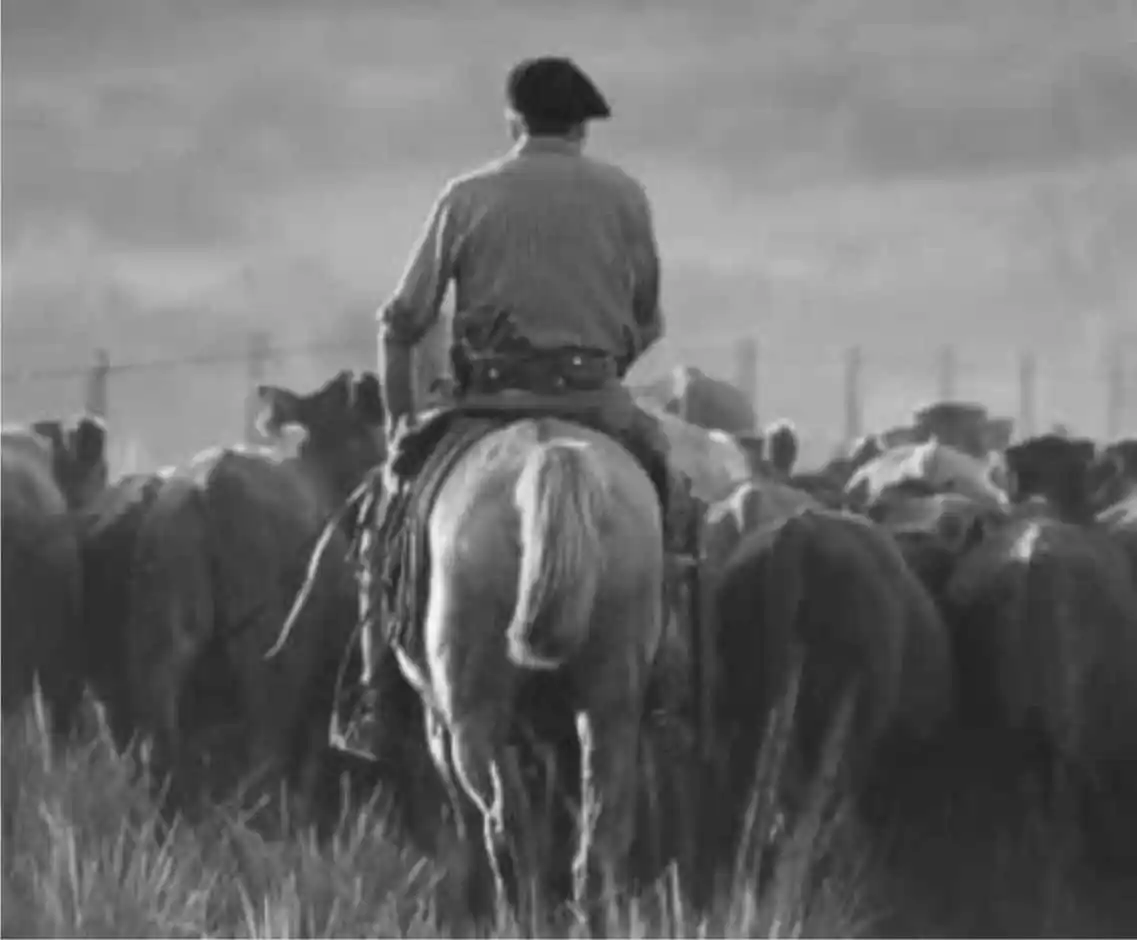 Renatre fija prestación por desempleo entre $19.470 y $38.940