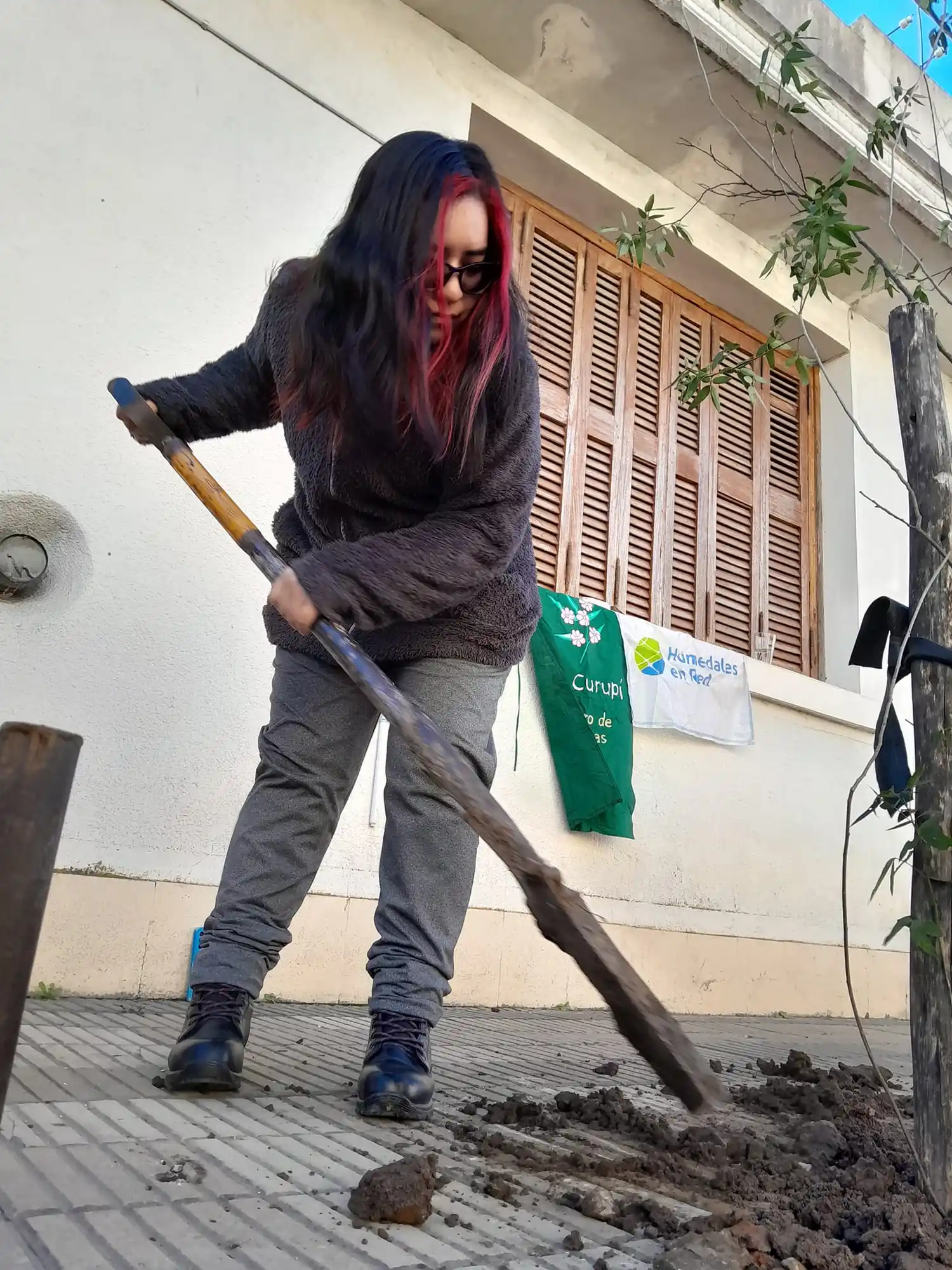 Realizan plantación de especies nativas