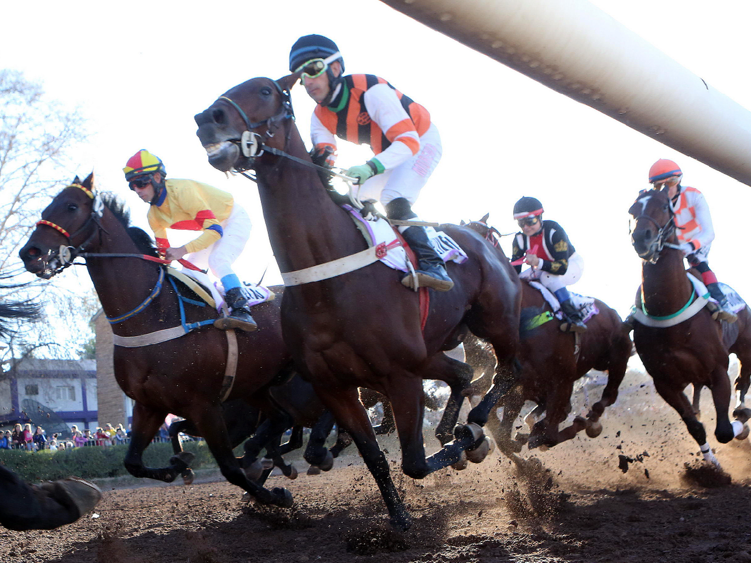 Quieren que San Francisco prohíba las carreras de caballos conocidas como “cuadreras”