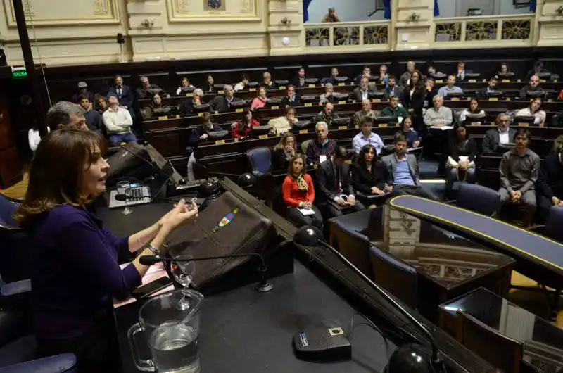 Reunión en Diputados por el rendimiento hospitalario