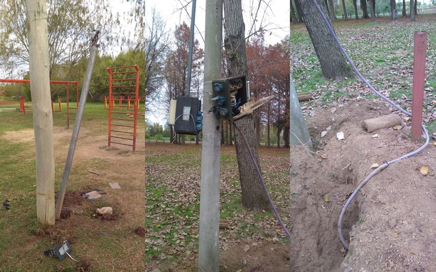 Robaron cables y provocaron destrozos en el Paseo Público