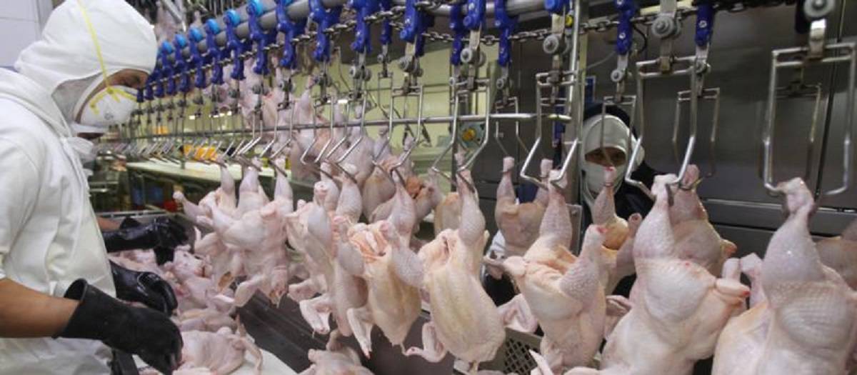 Japón reabre su mercado a los productos avícolas argentinos