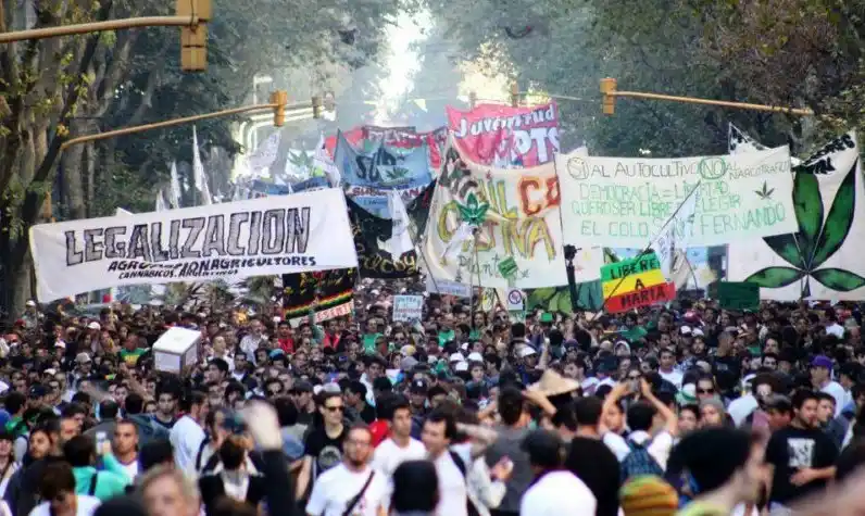 El Frente para la Victoria busca legalizar la marihuana medicinal 