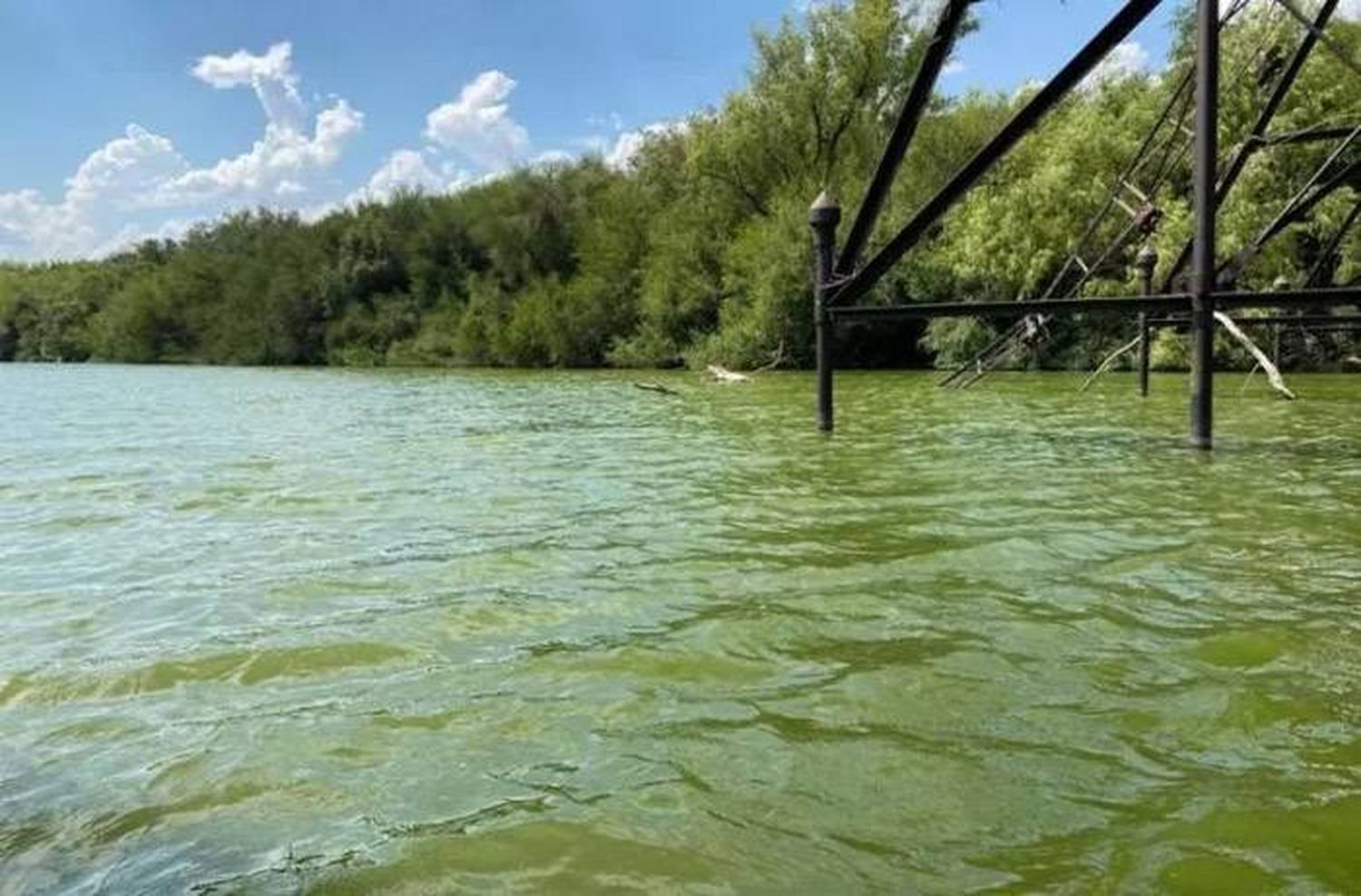 Hay bacterias tóxicas  en el río Uruguay