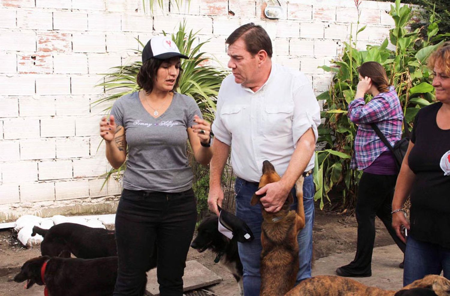 Montenegro: "El municipio debe hacerse cargo del control de la fauna urbana y el bienestar animal"