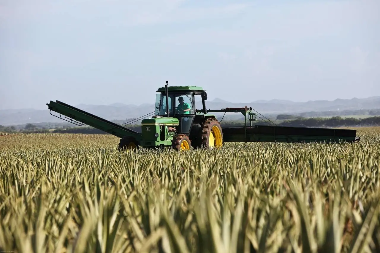 ¿Qué maquinarias agrícolas se utilizan en el momento de la cosecha?