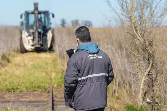 Sigue la crisis en los ferrocarriles: Ahora dan de baja los trabajos para la vuelta del tren a Ayacucho y Tandil