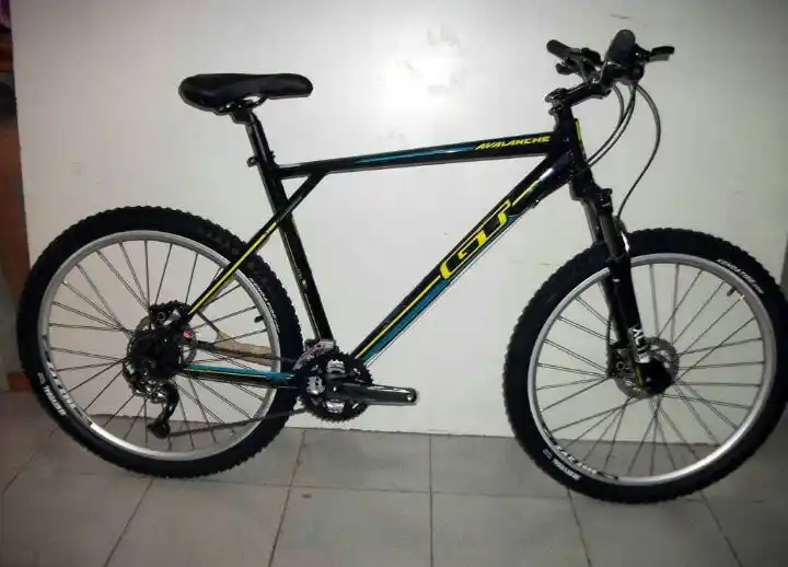 Entraron a robar a una casa y se fueron en dos bicicletas