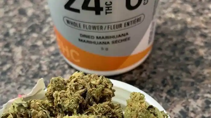 Las farmacias de Portugal ponen  en circulación un producto  innovador derivado del cannabis