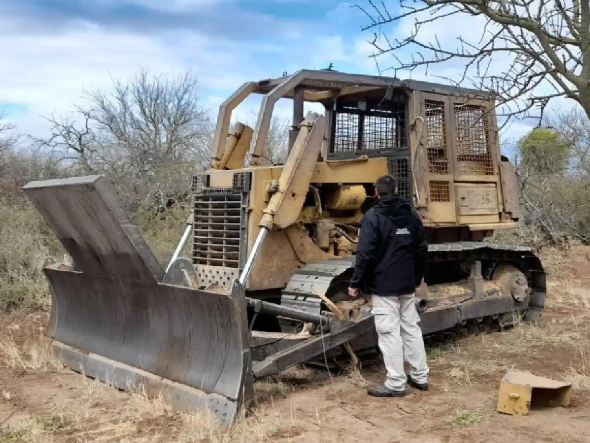 Policía Ambiental frenó un desmonte ilegal en Los Medanitos