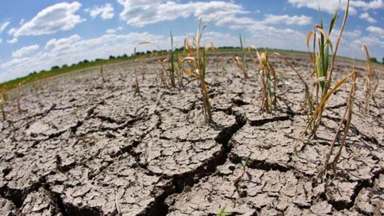 Se pone en marcha el Sistema de Información sobre Sequías