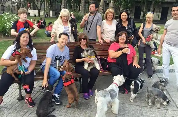 Perros de la plaza San Martín: un lugar de encuentro para mascotas y humanos