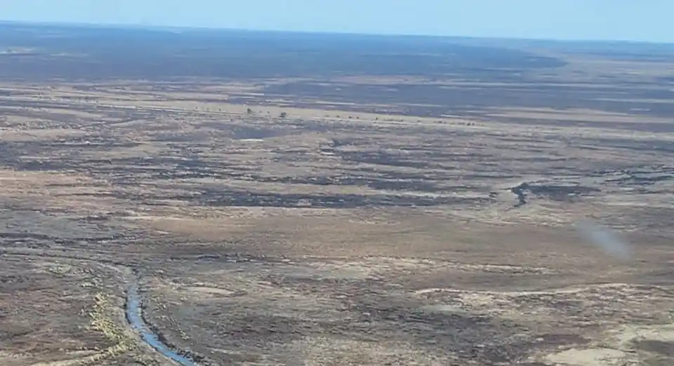 Ecocidio en islas: repliegan el personal tras la extinción de focos y confirman San Pedro como base activa