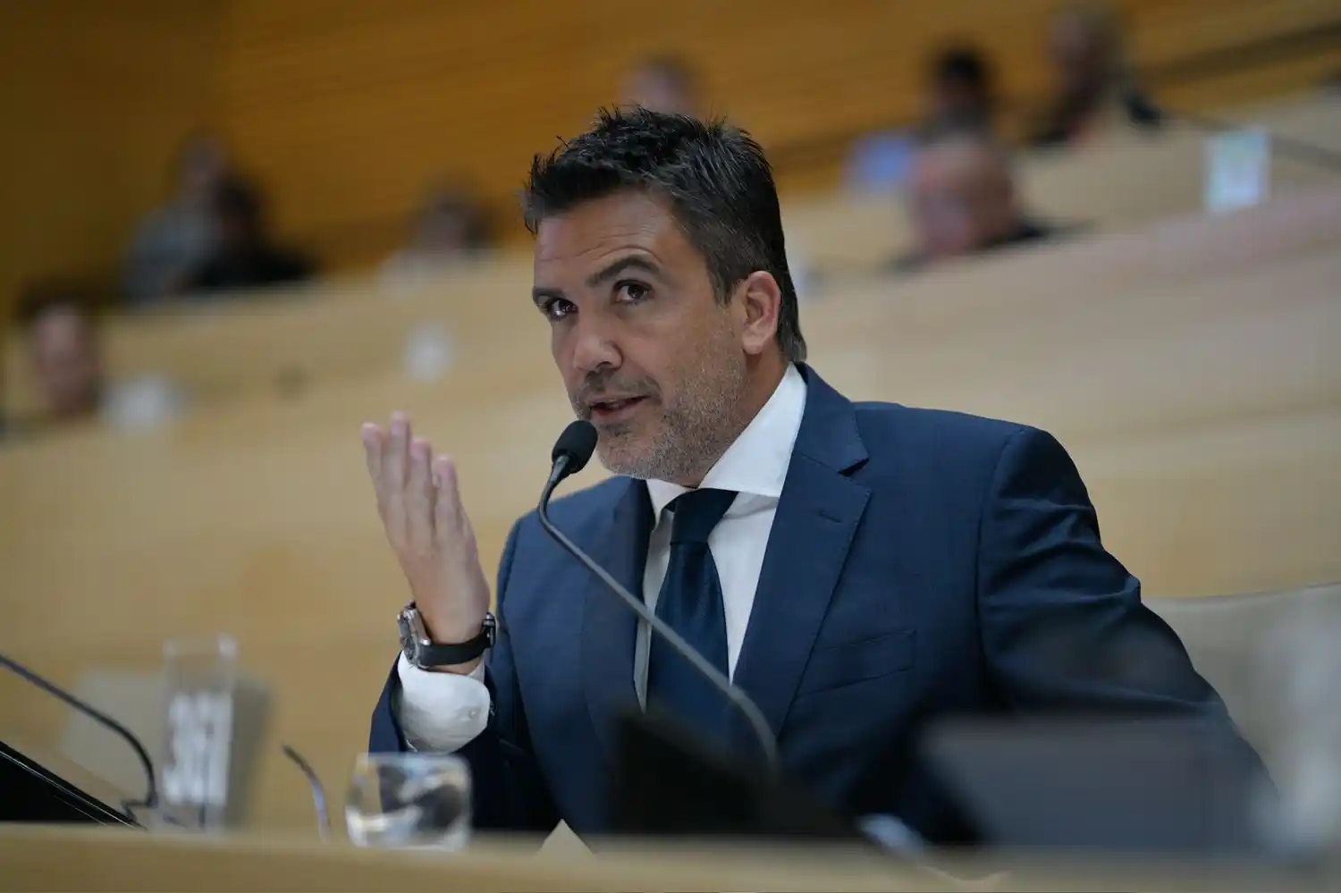 Facundo Torres, legislador.