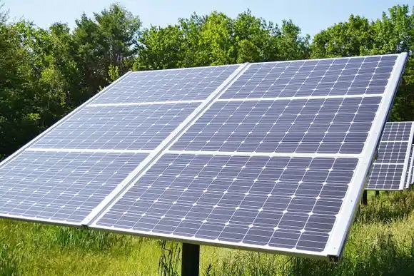 �SEl Estado debe colaborar para que las cooperativas tengan sus parques de energía limpia⬝