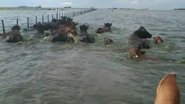 Advierten que las pérdidas por las inundaciones serán millonarias