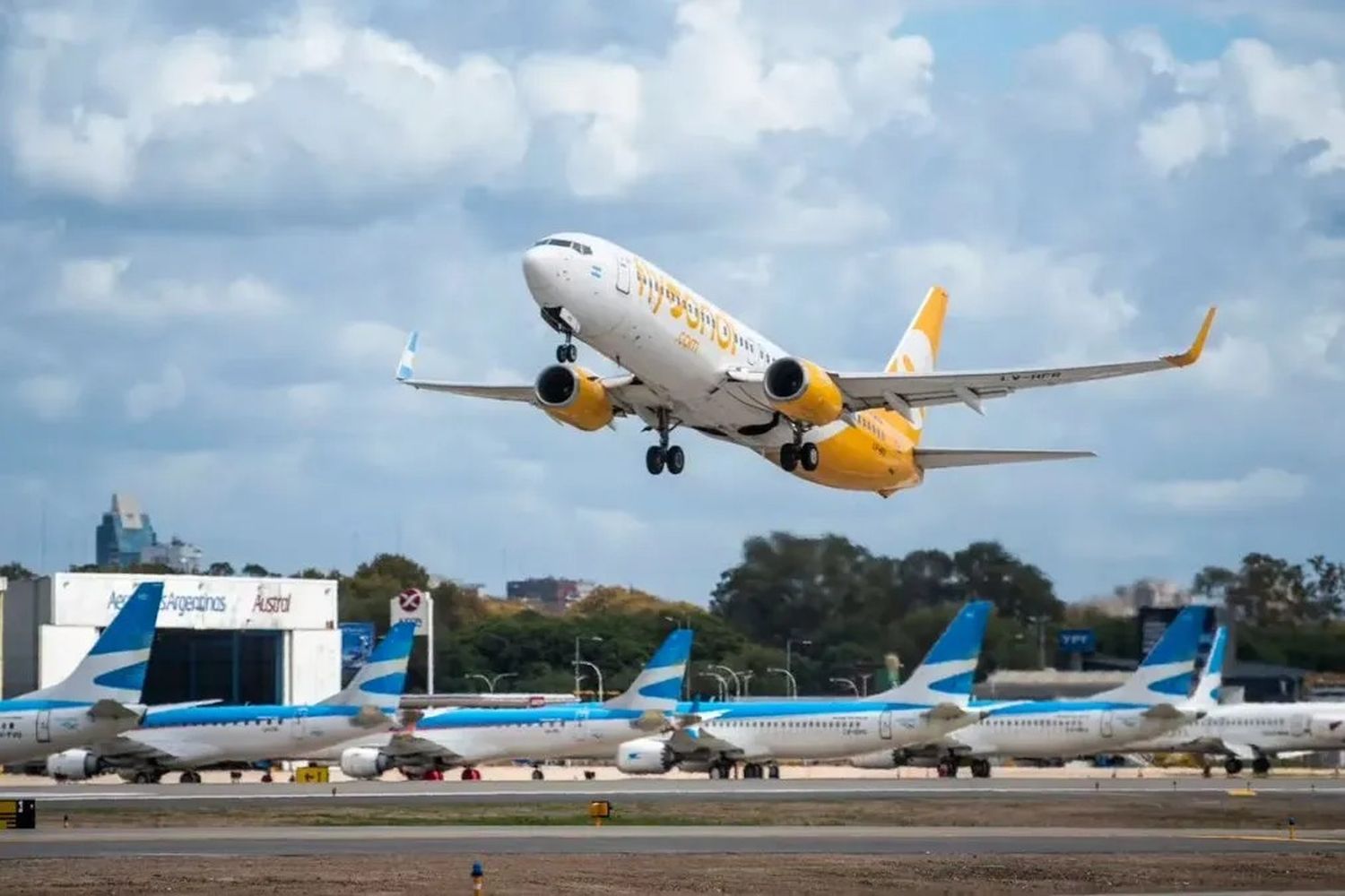 No todo lo que vuela es oro: La ruta de FlyBondi a Mar del Plata no empezó por Milei y Aerolíneas compite en precio