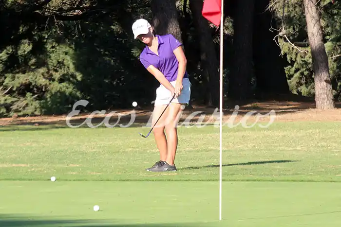El Putter con final de bandera verde