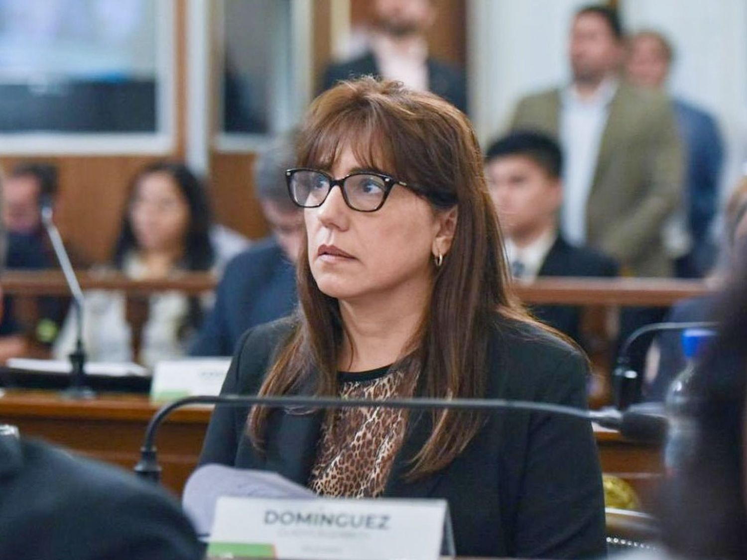 Gladys Domínguez presentó un proyecto de ley para impulsar el desarrollo integral del norte entrerriano