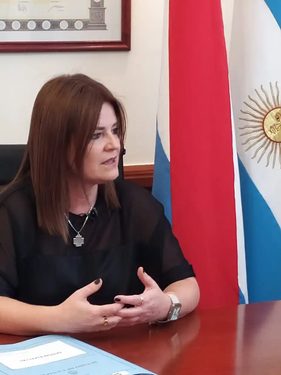 Kunath presentó proyecto para crear un Plan Contra el Abuso Sexual Infantil