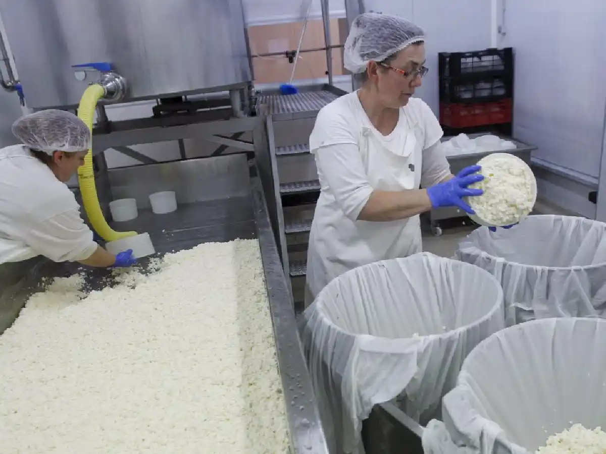 La industria lechera, ante "una de las crisis más severas de la historia"      