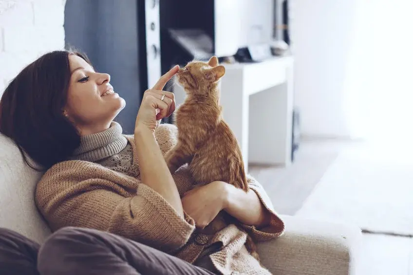 Por qué tu gato te ignora y prefiere a otra persona según la ciencia