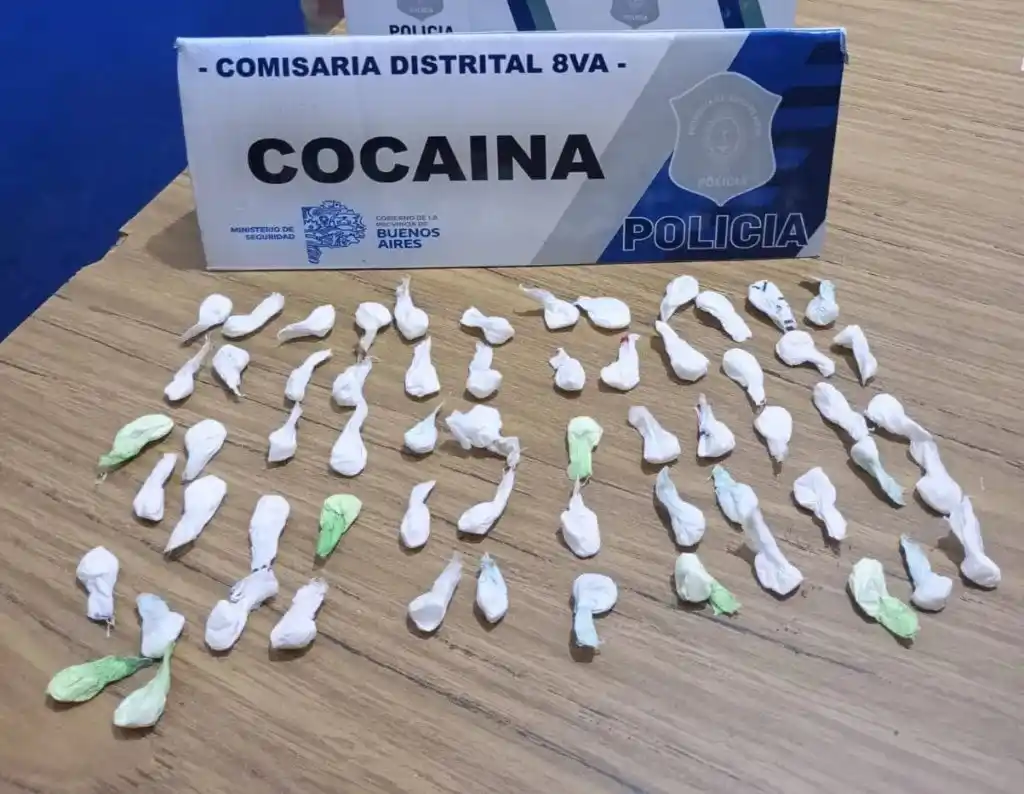 La cocaína secuestrada por la Justicia.