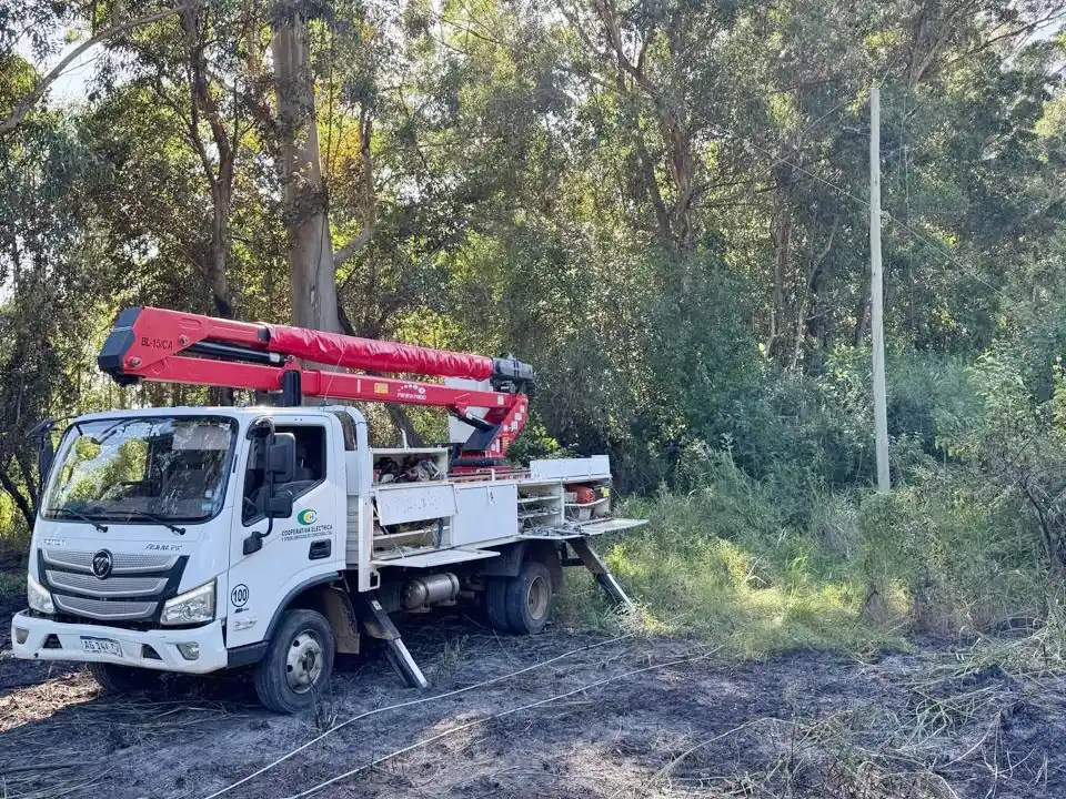 Una rama cayó sobre líneas eléctricas y dejó sin luz a Colonia Ayuí