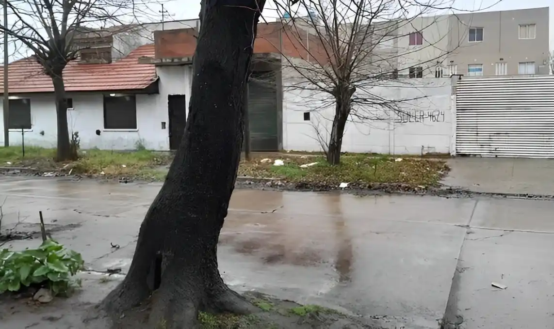 El cable fue puesto entre dos árboles el lunes a la noche. (0223)