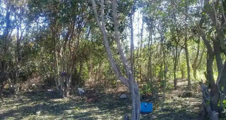 Violación grupal en Villa Igoillo: “Si hubiese escuchado algo, iba a rescatarla”, dijo una vecina