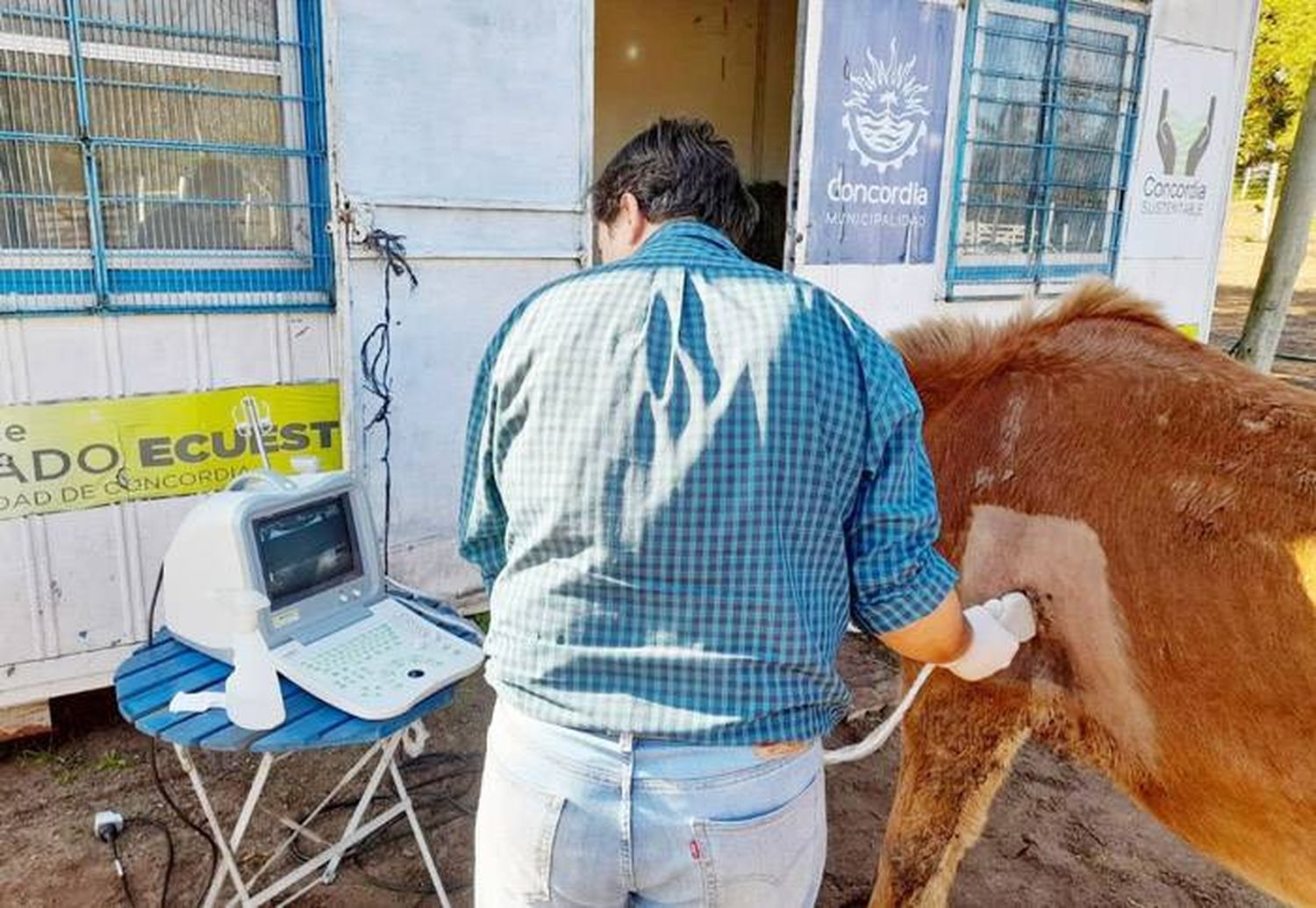 La Municipalidad continúa llevando adelante el plan de eliminación  de la tracción a sangre