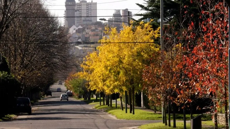  Tiempo frío por la mañana, luego bueno, soleado y con temperatura en aumento