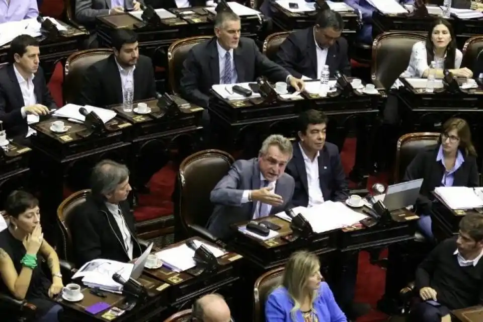 El kirchnerismo presenta pedido de sesión especial en Diputados para expresarse sobre el golpe de Estado en Bolivia
