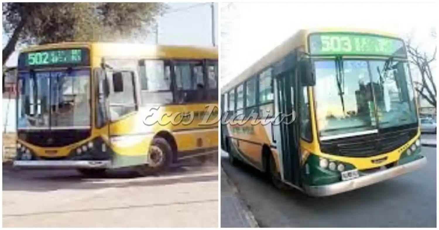 Unificación de líneas. De la 502 y 503 nacerá un nuevo recorrido y dejarán de existir las otras dos.