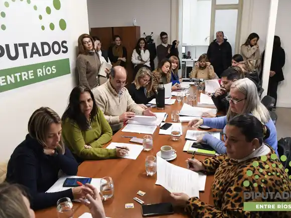 Debatieron la creación del Colegio de Agentes de Propaganda Médica