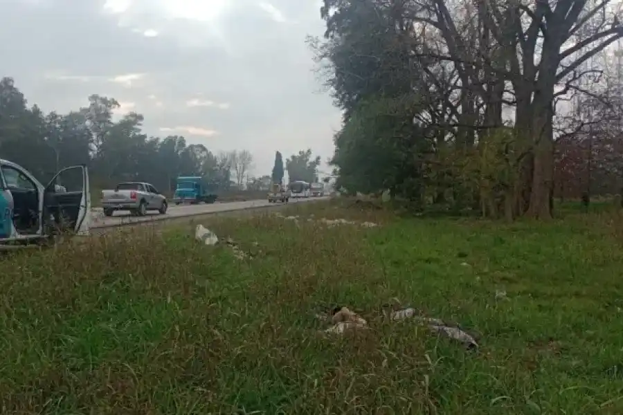 Muerte y misterio: lo mataron y abandonaron su cadáver al costado de la ruta