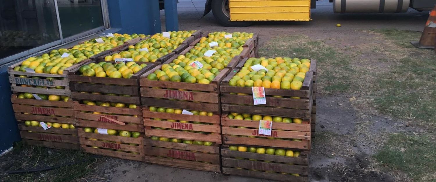 Continúan los operativos de control fitosanitario a transportes de jugos y frutas cítricas