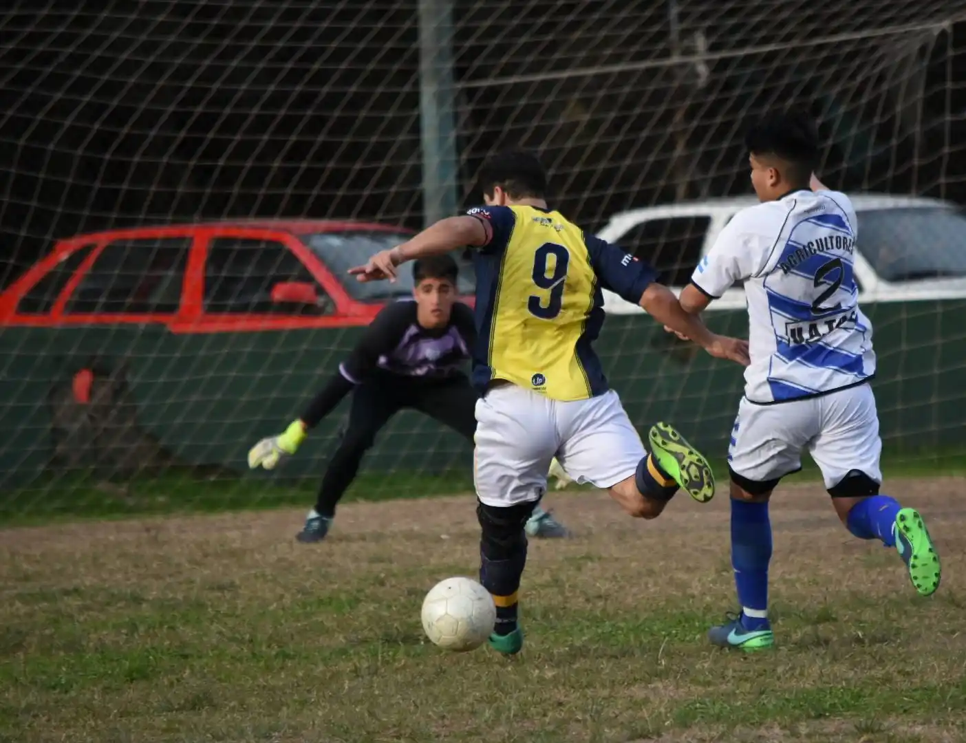 Por qué América y Agricultores dudan de participar en el torneo de la Liga Sampedrina
