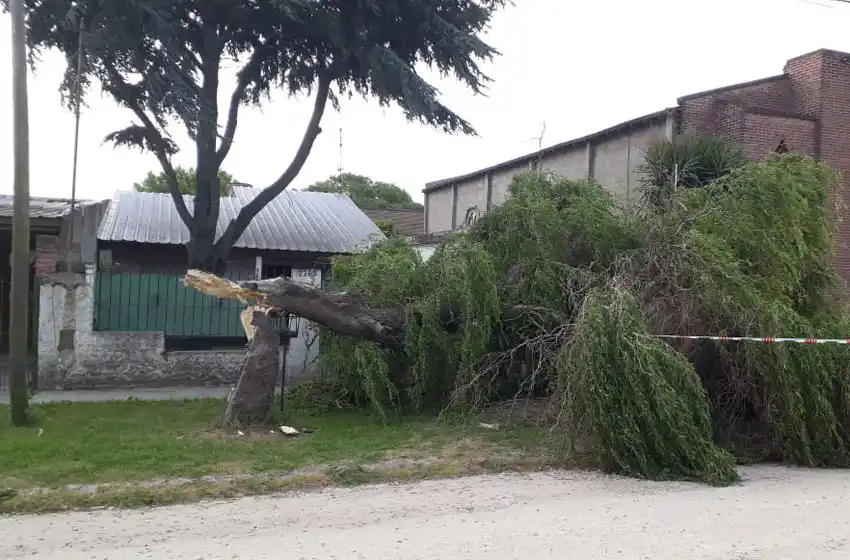 Vientos fuertes en Mar del Plata para este miércoles.