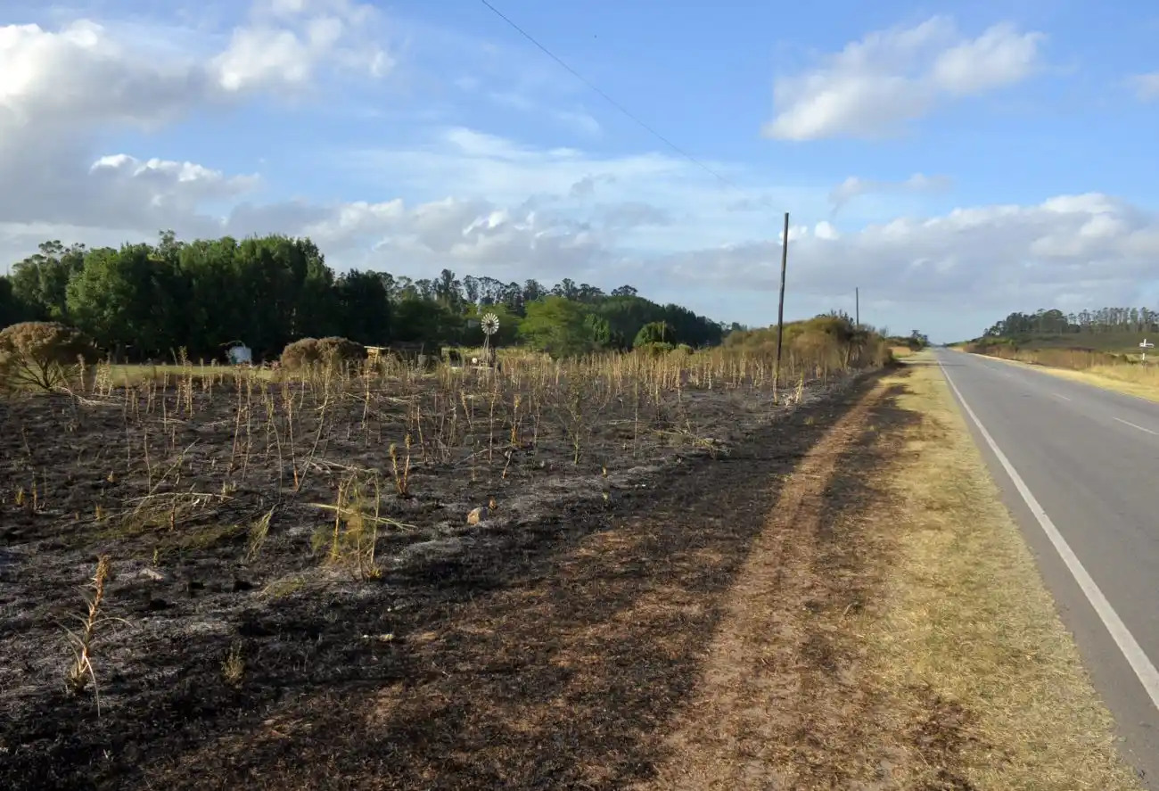 Bomberos trabajaron a destajo por distintos focos  de incendios 