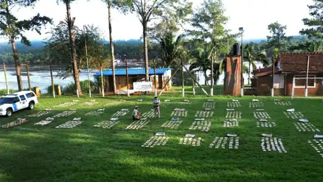 Secuestraron panes de marihuana valuados en más de $20 millones