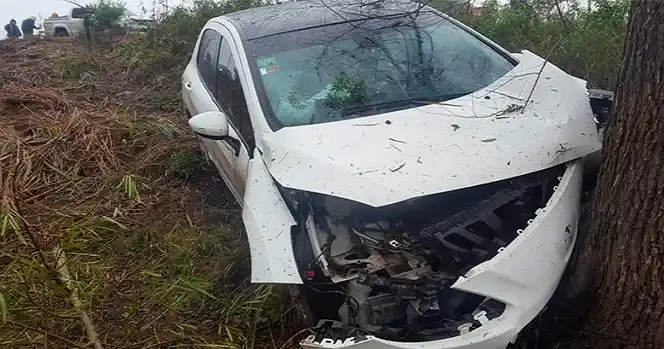 Un auto despistó y impactó contra un árbol: seis trasladados al Hospital Centenario