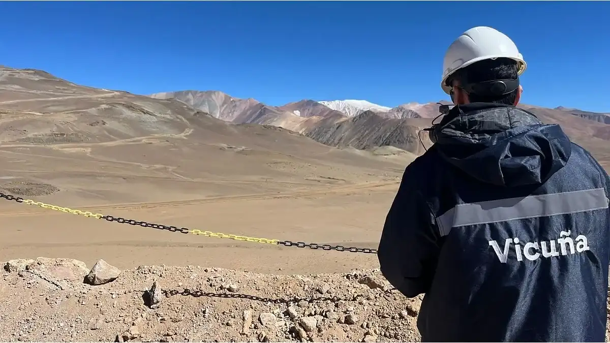 El Gobierno avaló el proyecto de Vicuña para expandir la red eléctrica.