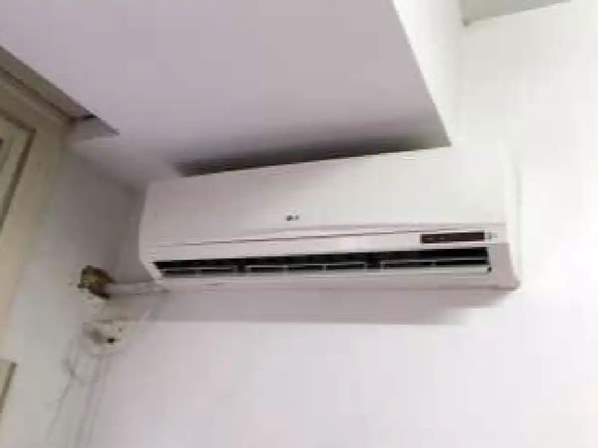 Por las elevadas temperaturas, hubo récord de consumo eléctrico 