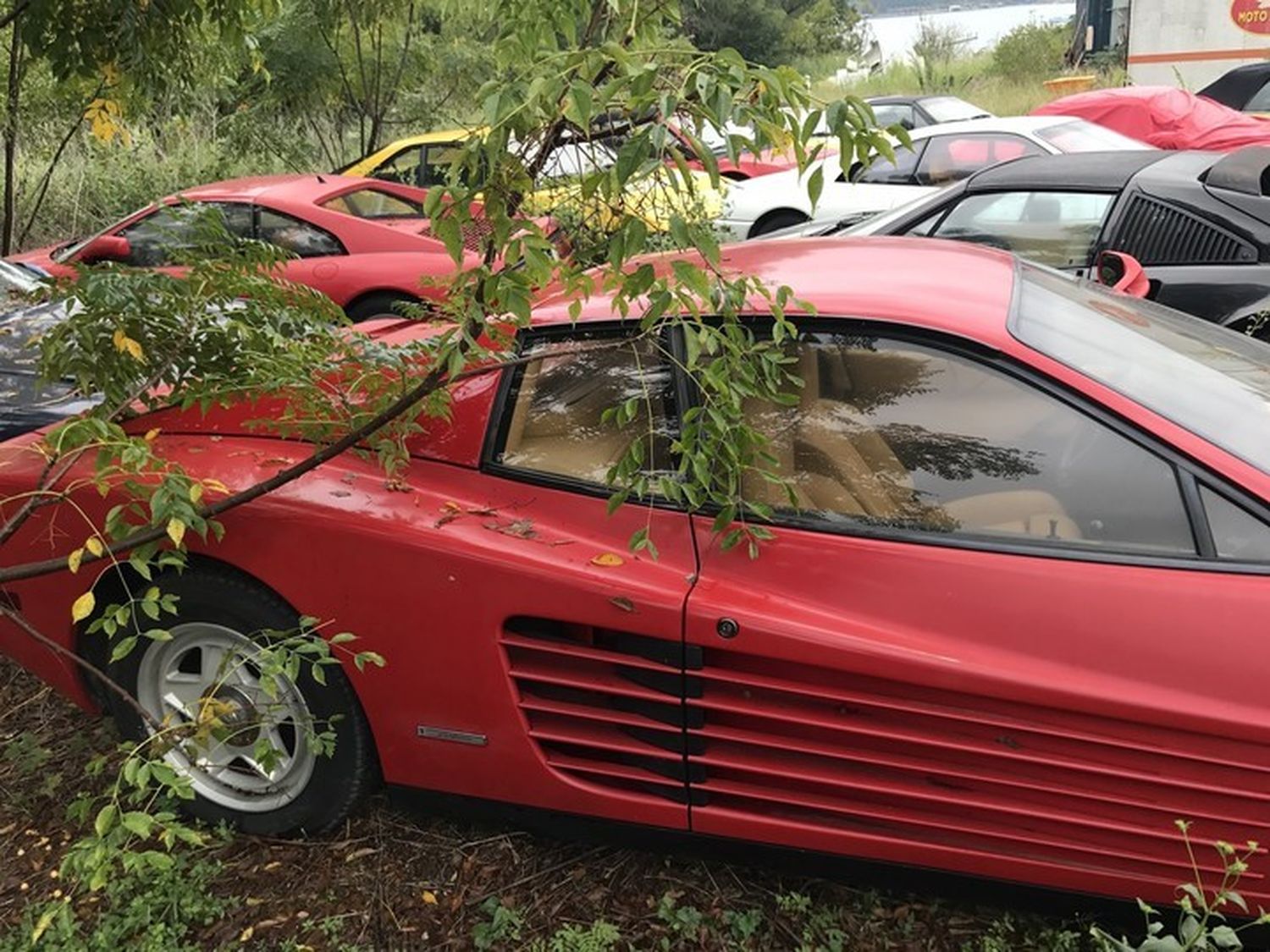 EE.UU.: encontraron un campo repleto de autos Ferrari abandonados