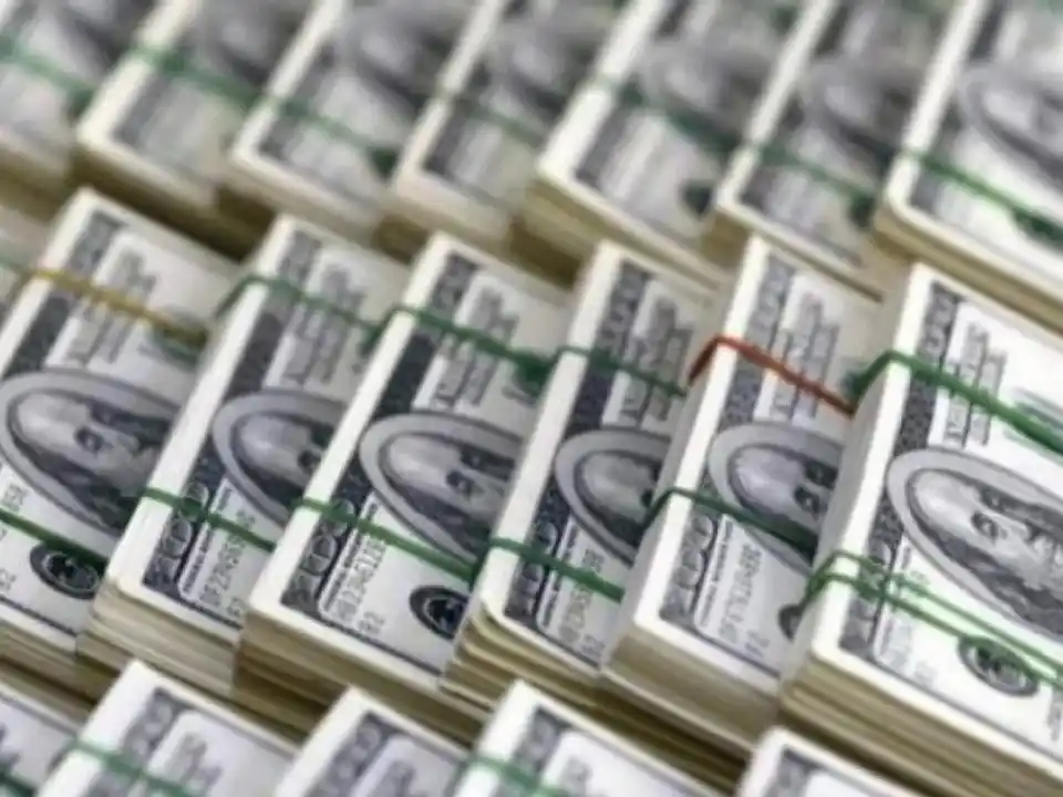 No se detiene la compra de dólares.