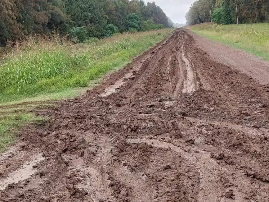Así está el camino a La Buena Moza: ''Para el Municipio no existimos''