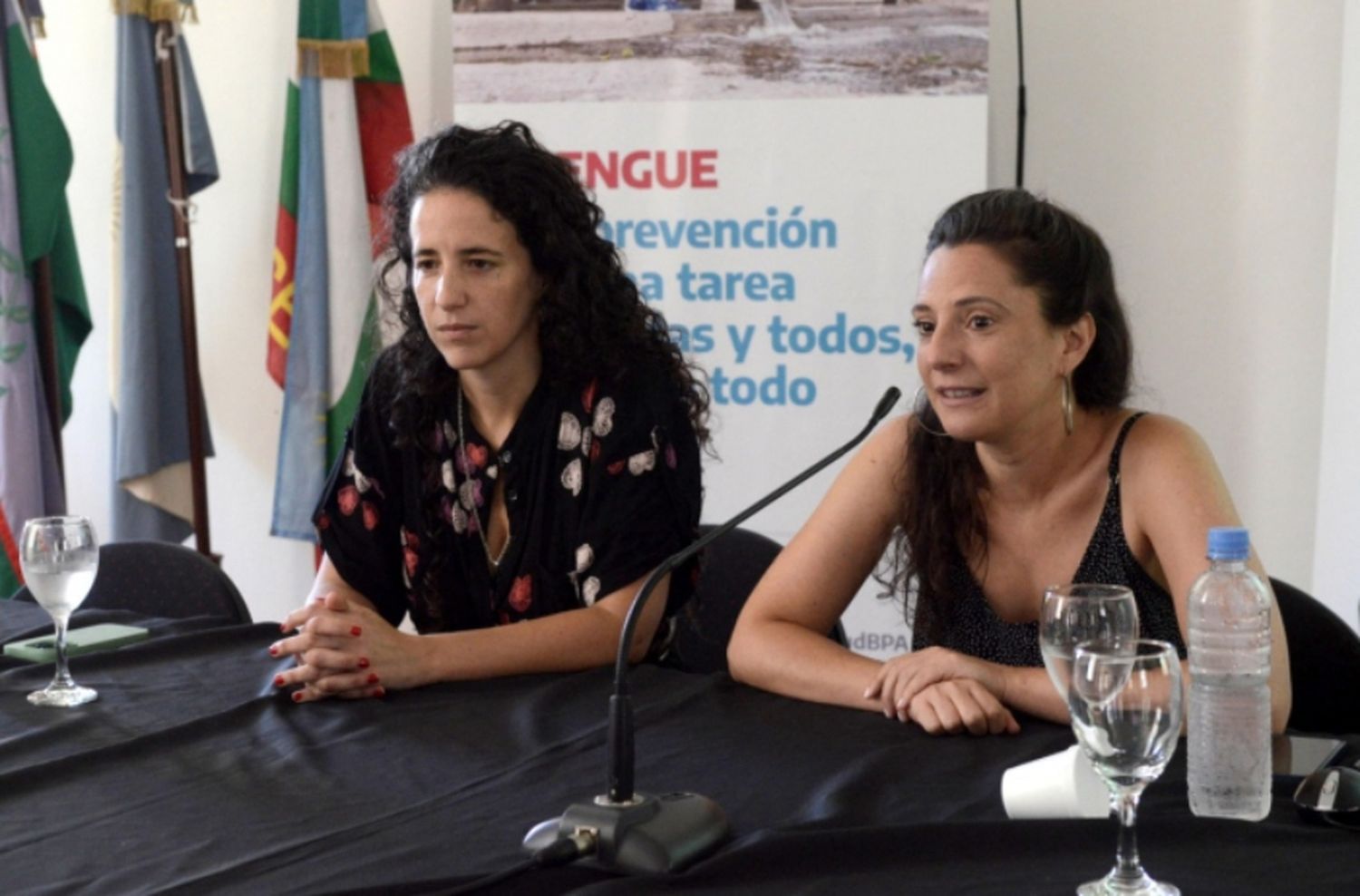 Salud y Ambiente presentaron el Plan de Respuesta para el dengue