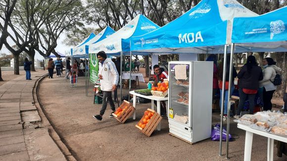 Sábado de feria en Plaza Constitución